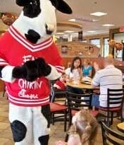 chick FilA cow