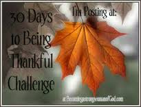 Thirty Day Challenge