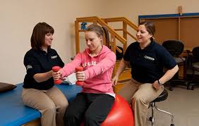 physical therapists