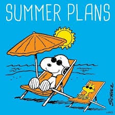 summer plans