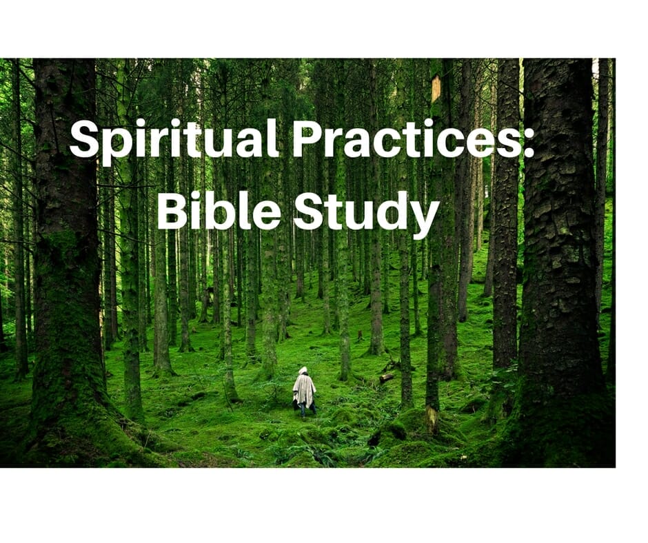Simplicity: Bible Study Guide on the Practice of a Simpler Lifestyle
