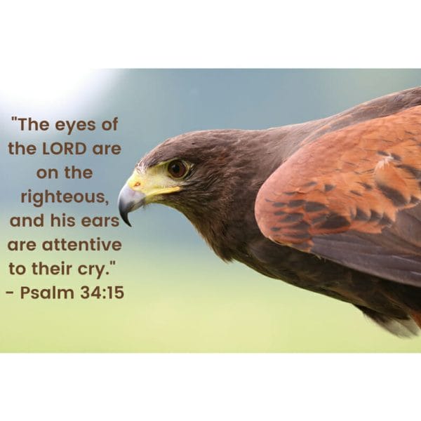 Eyes of the Lord -- looking out for you