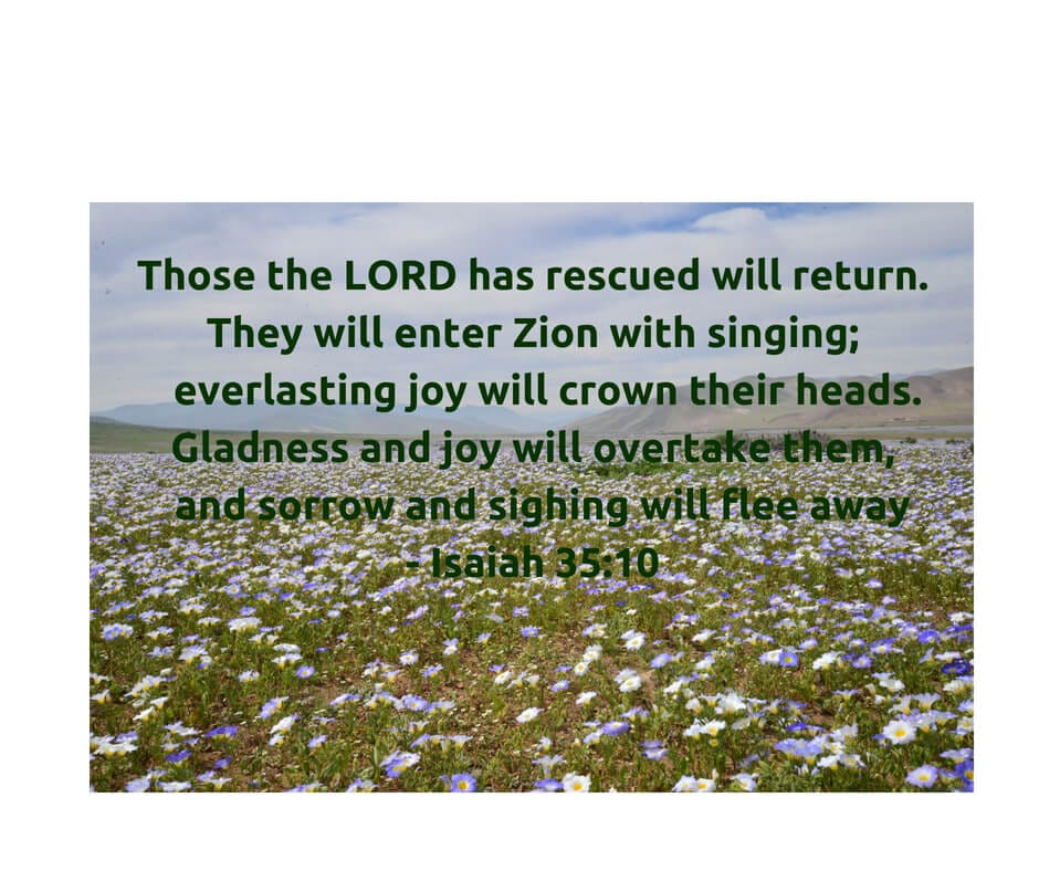 Isaiah 35:10 - everlasting joy!