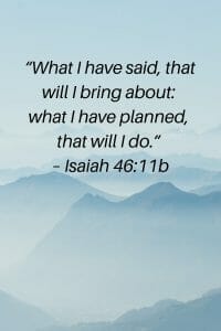 Isaiah 46:11 - God's plans