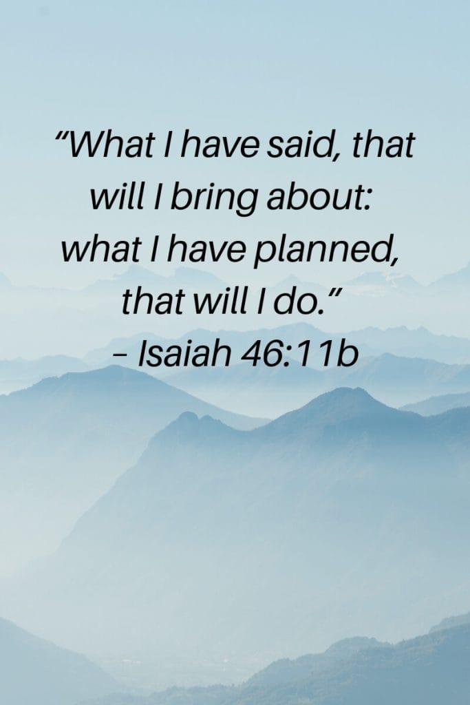 Isaiah 46:11 - God's plans