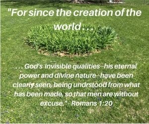 Creation Prompts - Romans 1:20