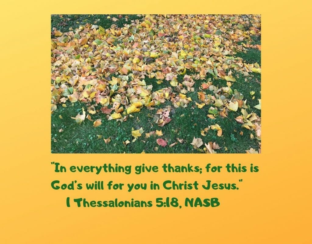 "In everything give thanks, for this is God's will for you in Christ Jesus." - I Thessalonians 5:18, NASB