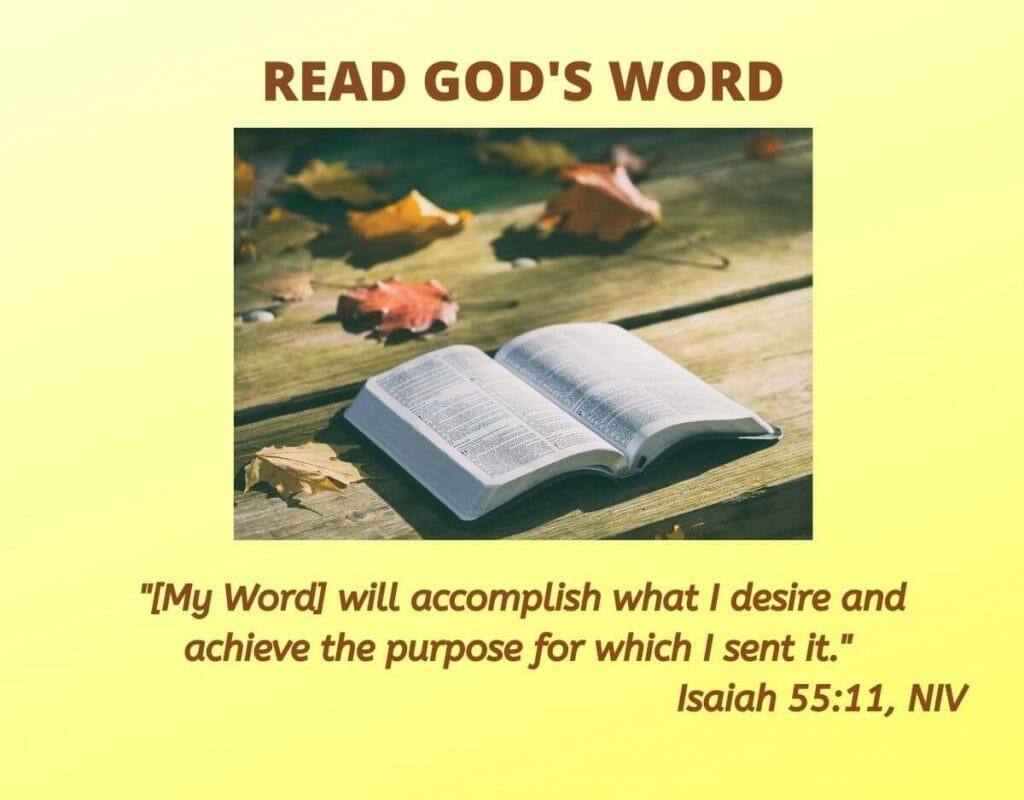 Read God's Word. "My word will accomplish what I desire and  achieve the purpose for which I sent it." - Isaiah 55:11, NIV