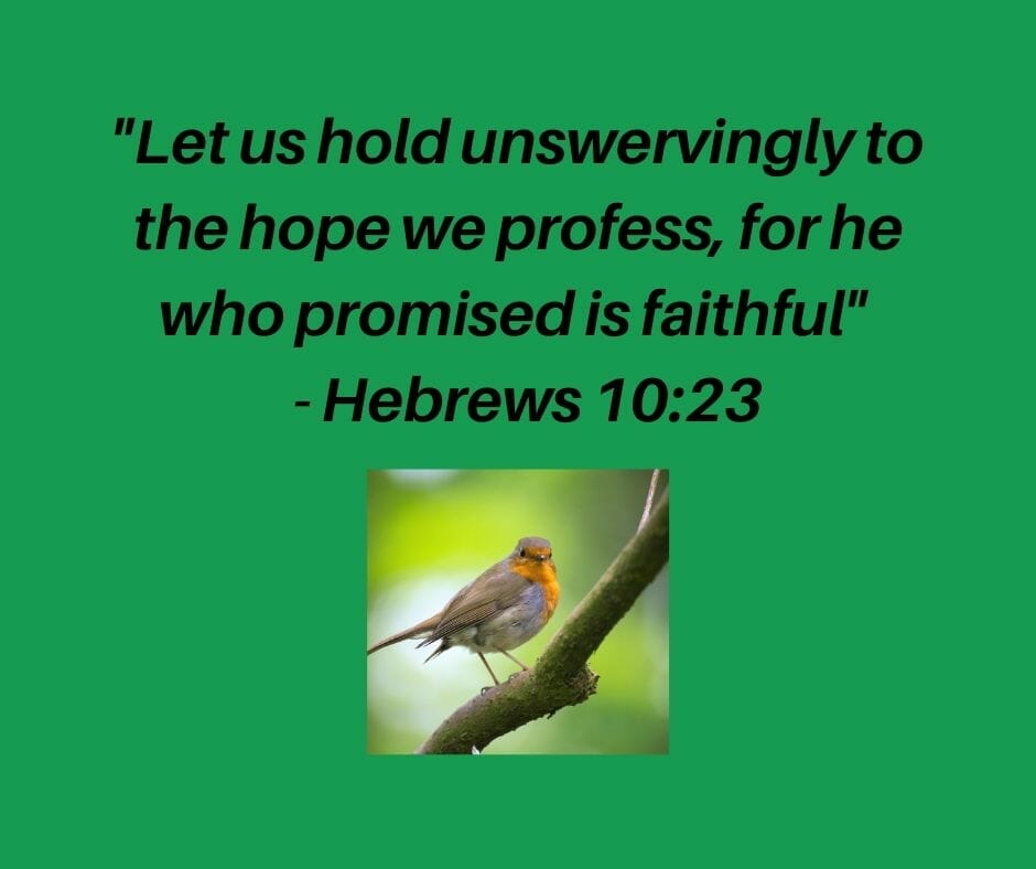 "Let us hold unswervingly to the hope we profess, for he who promised is faithful." - Hebrews 10:23, NIV