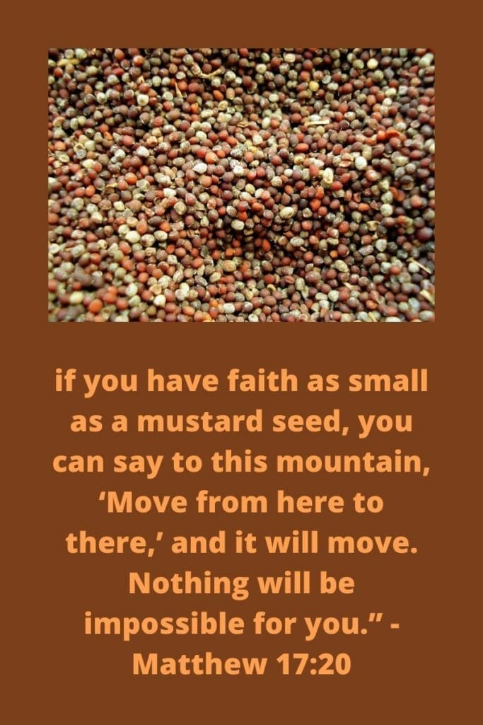 Mustard Seed Faith - Matthew 17:20