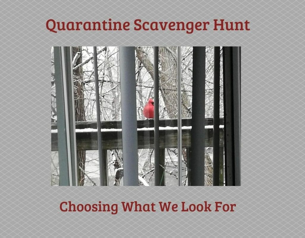 Quarantine Scavenger Hunt: Choosing What To Look For