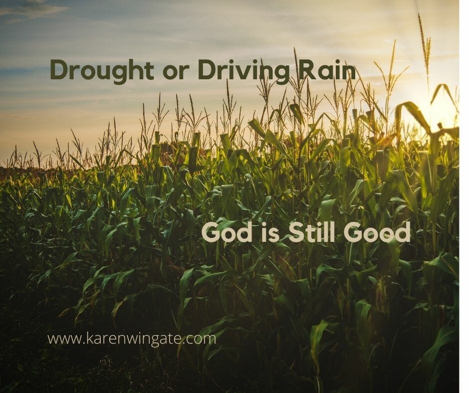 Drought or Driving Rain, Good is still Good