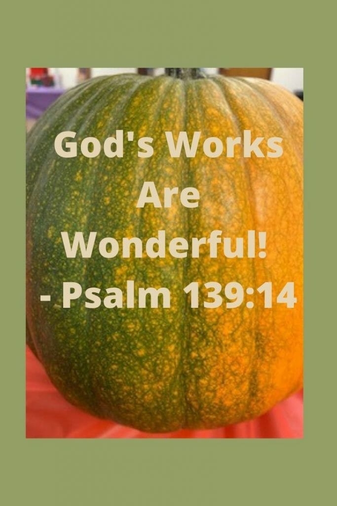 God's works are wonderful - Psalm 139:14