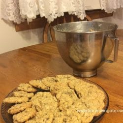 plate of chocolate chip cookies