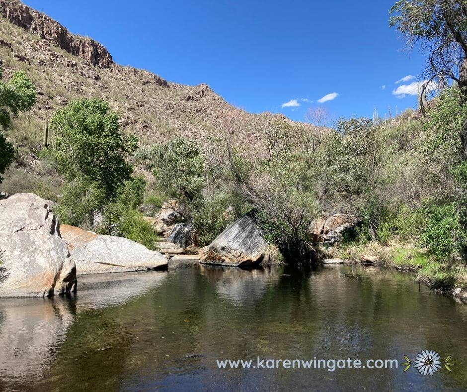 Sabino Canyon