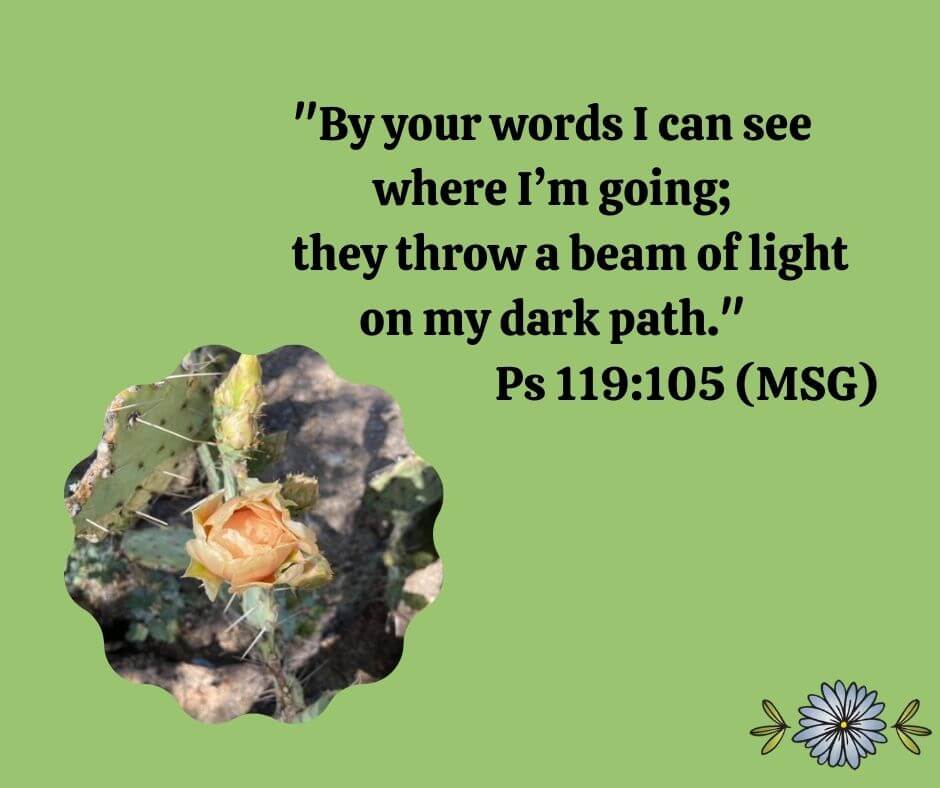 "By your words I can see where I'm going; they throw a beam of light on my dark path." (The Message)