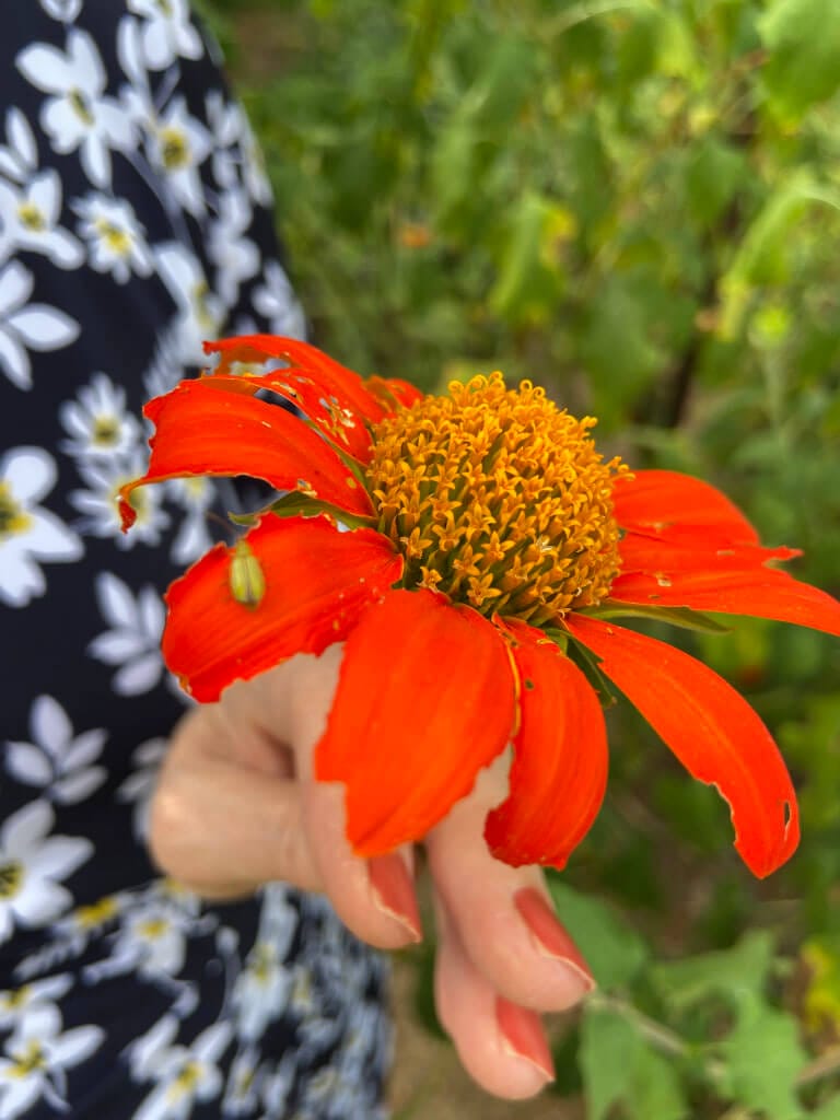 Karen Wingate with Red Flower