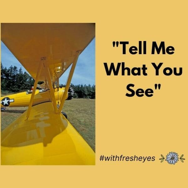 Tell Me What You See