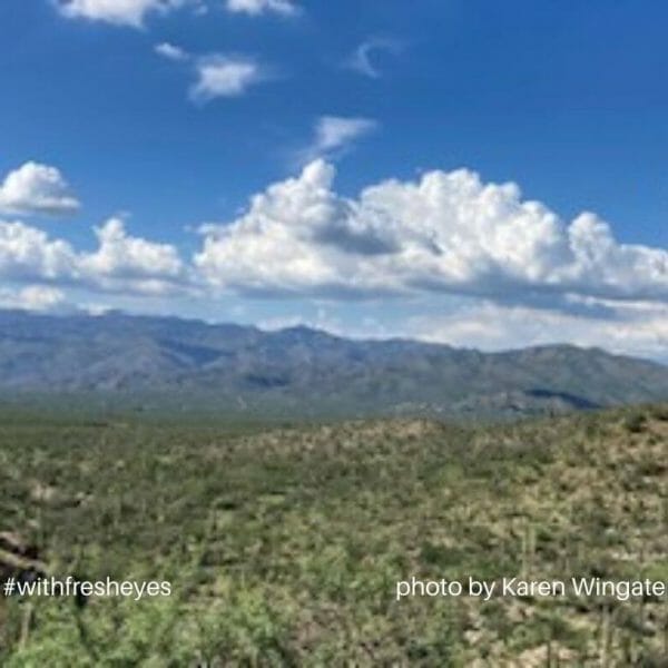 Catalina Mountains, #withfresheyes photo by Karen Wingate