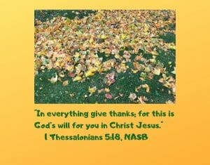 In everything give thanks, for this is God's will for you in Christ Jesus." - 1 Thessalonians 5:8, NASB