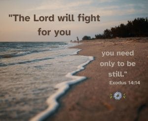 The Lord will fight for you; you need only to be still - Exodus 14:14