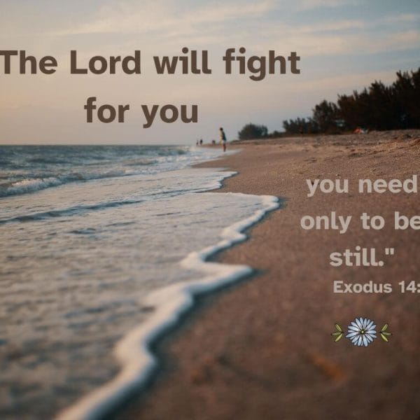 The Lord will fight for you; you need only to be still - Exodus 14:14