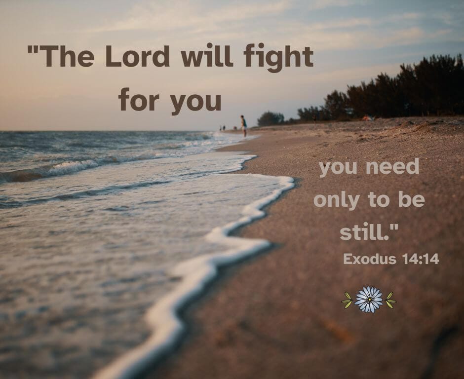 The Lord will fight for you; you need only to be still." - Exodus 14:14