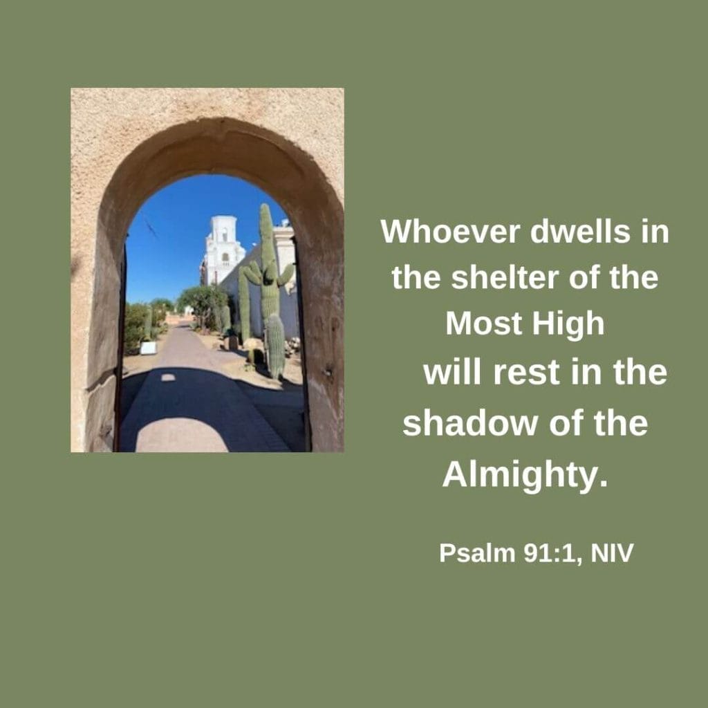 Whoever dwells in the shelter of the Most High will rest in the shadow of the Almighty. - Psalm 91:1, NIV