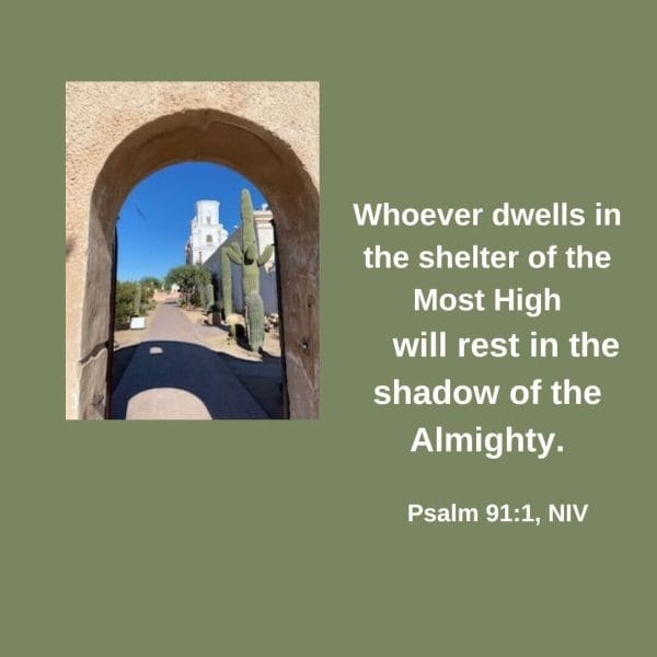 Whoever dwells in the shelter of the Most High will rest in the shadow of the Almighty. - Psalm 91:1, NIV