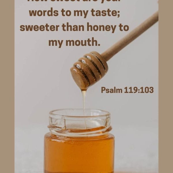 How sweet are your words to my taste; sweeter than honey to my mouth. - Psalm 119:103